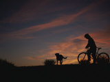 Buy Bicyclist and Pet Silhouetted against a Sunset at AllPosters.com