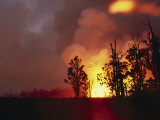 Buy Lava and Fire from a Kilauea Spray into the Air, Silhouetting Trees against the Night Sky at AllPosters.com
