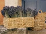 Basket Full of Herbs