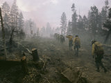 Buy Firefighters at AllPosters.com