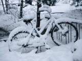 A Snow-Covered Bike Retired for the Winter