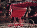 Buy Wooden Matchsticks are Dipped Simultaneously into a Conveyor-Belt Tray at AllPosters.com