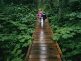 Buy Two Children Walk Along a Wooden Walkway in the Rain at AllPosters.com