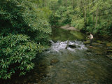 A Man is Fly-Fishing on Tennessees Bald River