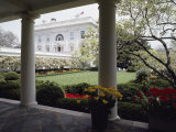 Buy View of the Rose Garden from the White House at AllPosters.com