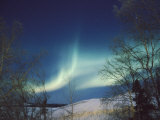 A Brilliant Display of Aurorae