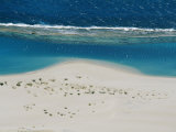 Buy An Aerial View of the Barrier Reef off the Sandy Western Autralia Coast at AllPosters.com