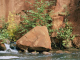 Buy Red Rocks, Fall Colors and Creek, Oak Creek Canyon, Arizona at AllPosters.com