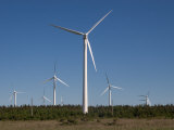 Wind Turbines Generating Electricity Photographic Print