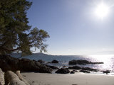 Buy A View of a Beach in British Columbia at AllPosters.com