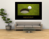 Buy Destiny at AllPosters.com