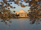 Cherry Trees in Bloom Around the Tidal Basin and Jefferson Memorial