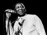 Buy Muddy Waters at AllPosters.com