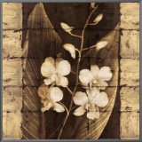 Buy Orchids in Bloom I at AllPosters.com