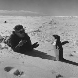 Ornithologist Photographing Native Penguin