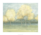 Solace II