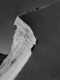 Englishmen Climbing Along Edge of Precipice on 13,000 Ft. Piz Bernina, in the Alps Switzerland