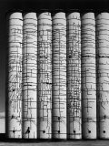 Grain Elevator