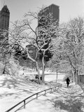 Buy Central Park After a Snowstorm at AllPosters.com