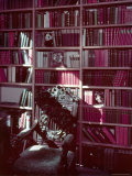 Library Study at Chartwell, Home of Former British Pm Winston Churchill