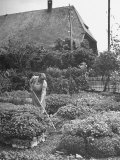 Farmer