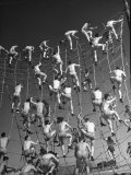 Cadets in the US Navy Climbing Rope Wall During Obstacle Course