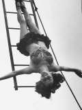 Buy Circus Performer Hanging Upside Down at AllPosters.com