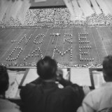 Buy View of a Notre Dame Football Game at AllPosters.com