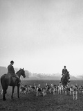 Fox Hunting, England