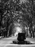 Buy Cours Mirabeau, One of the Main Avenues in Aix En Provence at AllPosters.com