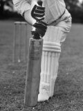 Cricket Bat