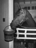 Citation in Stall