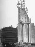 Exterior View of the Gold Medal Flour Mill