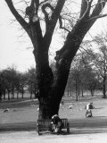 Buy Couple Embracing in a Passionate Moment on the Bench in Hyde Park at AllPosters.com