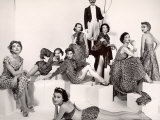 Leopard Fabric Fashions