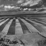 Aerial View of Farmland