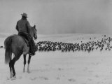 Buy Cattle Drive on Snowy Landscape to Virginia City at AllPosters.com