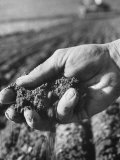 Farmer Holding a Handful of Soil