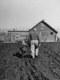 Buy Grandpa and 4 Year Old Granddaughter, on Morning Chores, to Feed Pigs on Nearby Lot at AllPosters.com