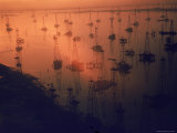Buy Oil Rigs Dating from the 1920's Dot the Shallows of Galveston Bay at AllPosters.com