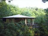 Summer Home Made from Redwood Panels Perched on Stilts Among Treetops