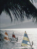 Wind Surfers at Waihikula, Maui