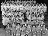 The All American Girls Professional Ball League Posing For a League Portrait in Their Uniforms