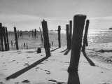 Provincetown Fishing Fleet in Cape Cod Bay