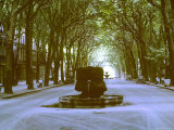 Buy Plane Trees Shade Wide Boulevard of Cours Mirabeau in Aix En Provence at AllPosters.com