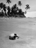 Skull Lying Half Covered by Sand on the Beach