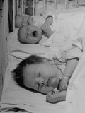 Buy New Babies Filling the Maternity Wards of the Hospitals at AllPosters.com
