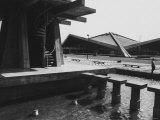The New Olympic Buildings in Japan
