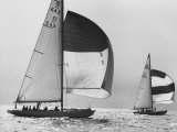 View of Sailboats During the America's Cup Trials