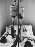 View of Children Receiving Blood Transfusions